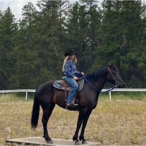 Meet your Posher, Kerrington - Picture 1 of 1